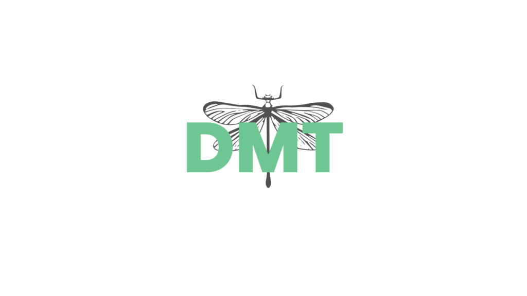 dragonfly manual therapies blog
