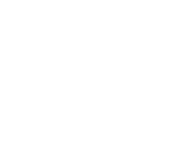 dragonfly manual therapies logo